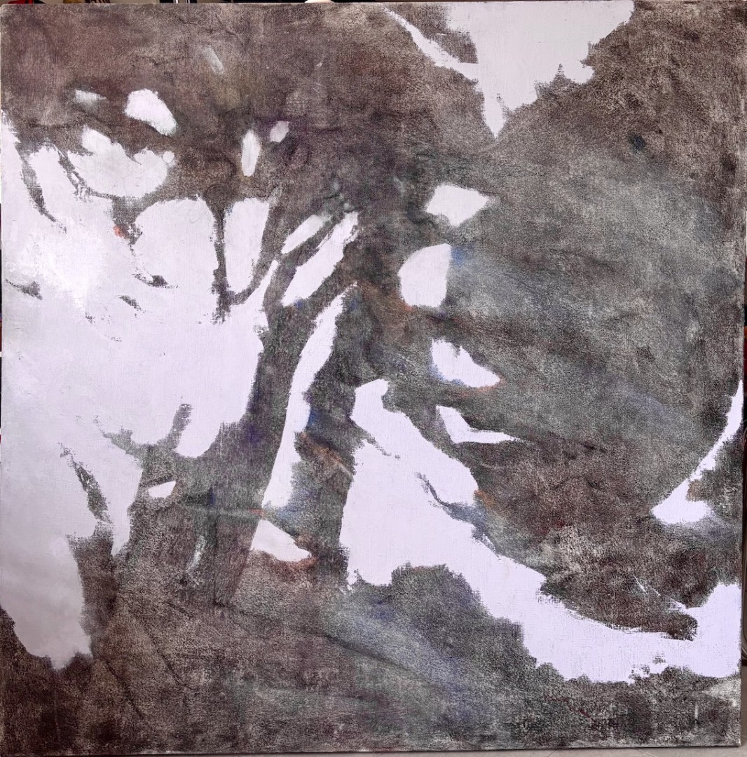 La materia del vento