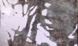 La materia del vento